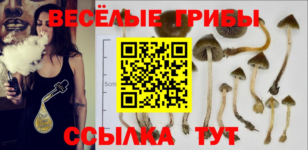 Псилоцибиновые грибы Magic Shrooms Новый Уренгой